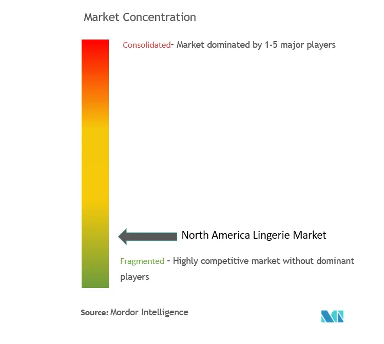 北米ランジェリー市場の集中度
