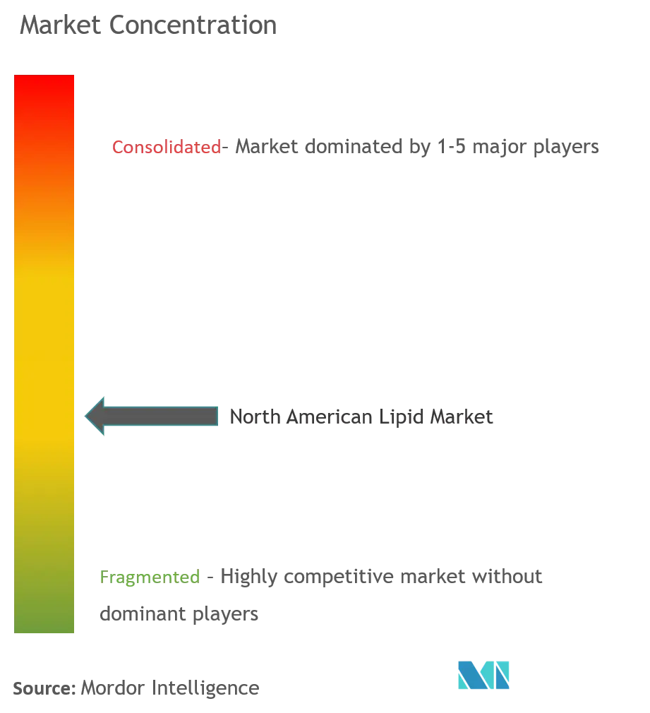 North America Lipid Market Concentration