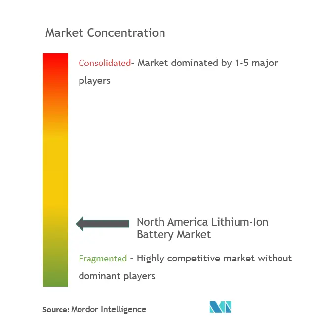North America Lithium-ion Battery Market Concentration
