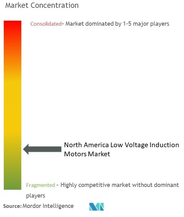 Marktkonzentration für Niederspannungs-Induktionsmotoren in Nordamerika