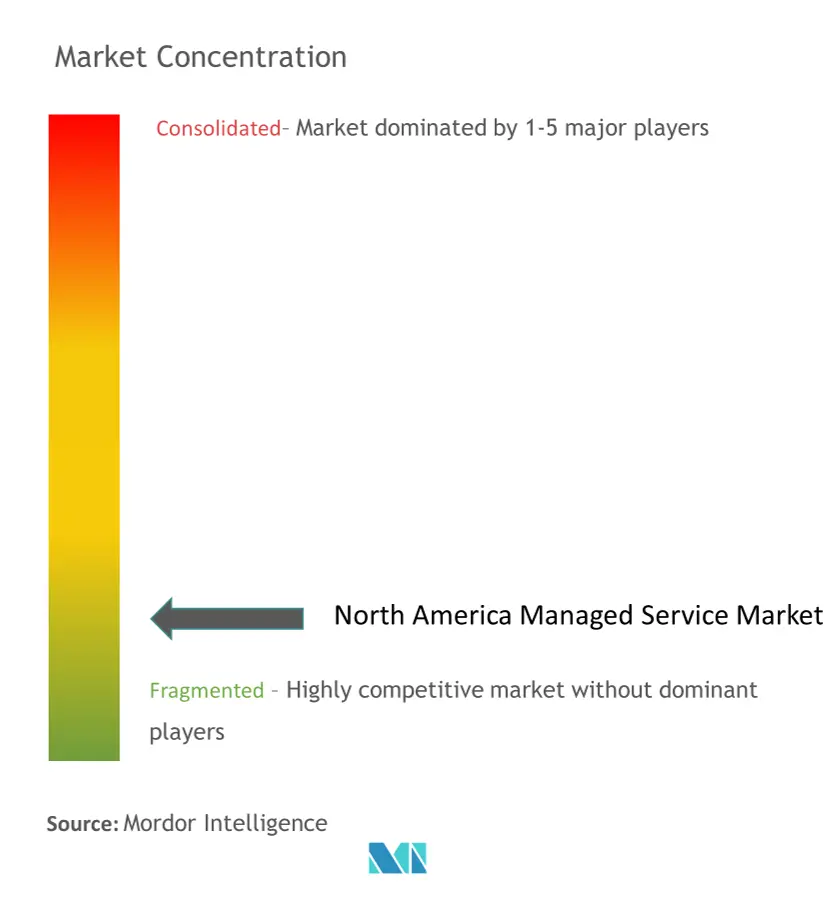 North America Managed Service Market - market concentration.png