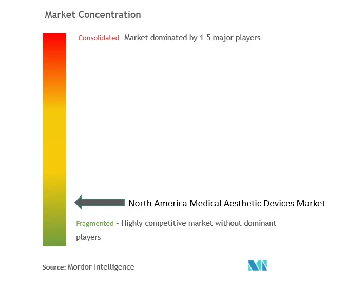Concentración del mercado de dispositivos médicos estéticos en América del Norte