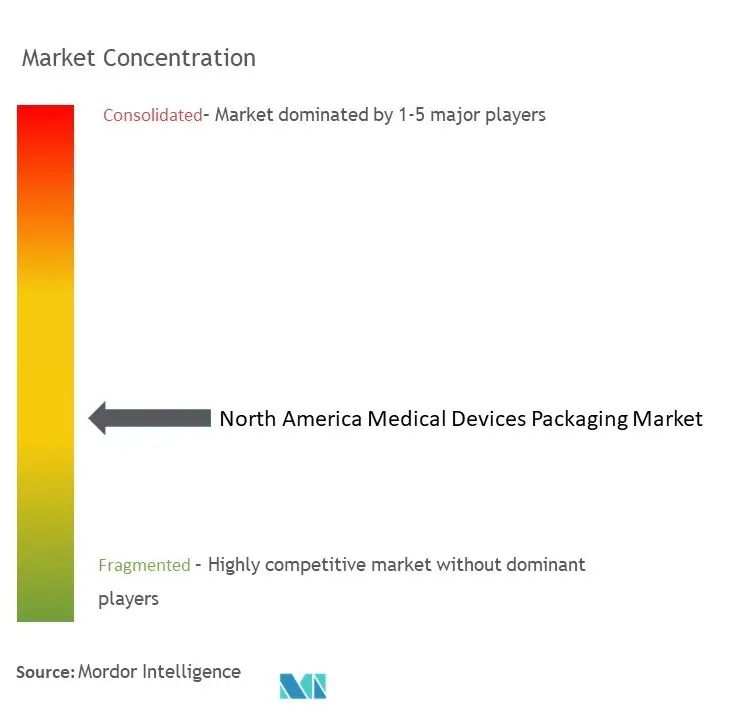 North America Medical Devices Packaging Market Concentration