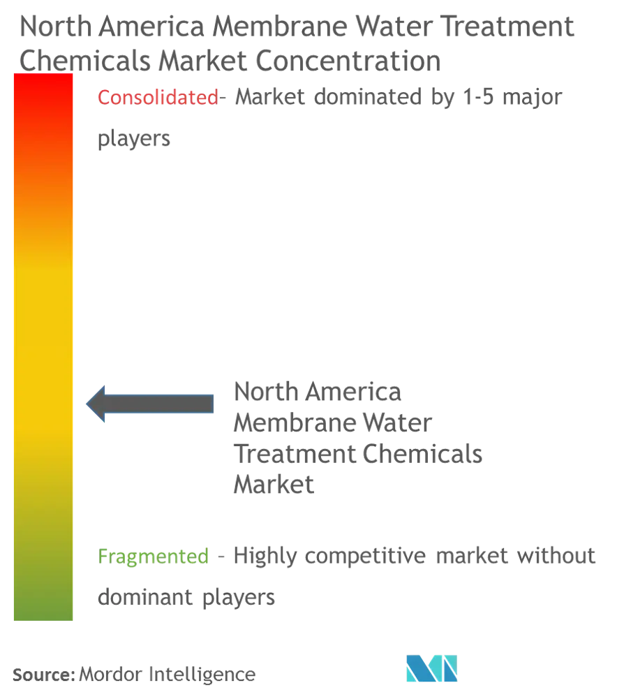 North America Membrane Water Treatment Chemicals Market - Market Concentration.png