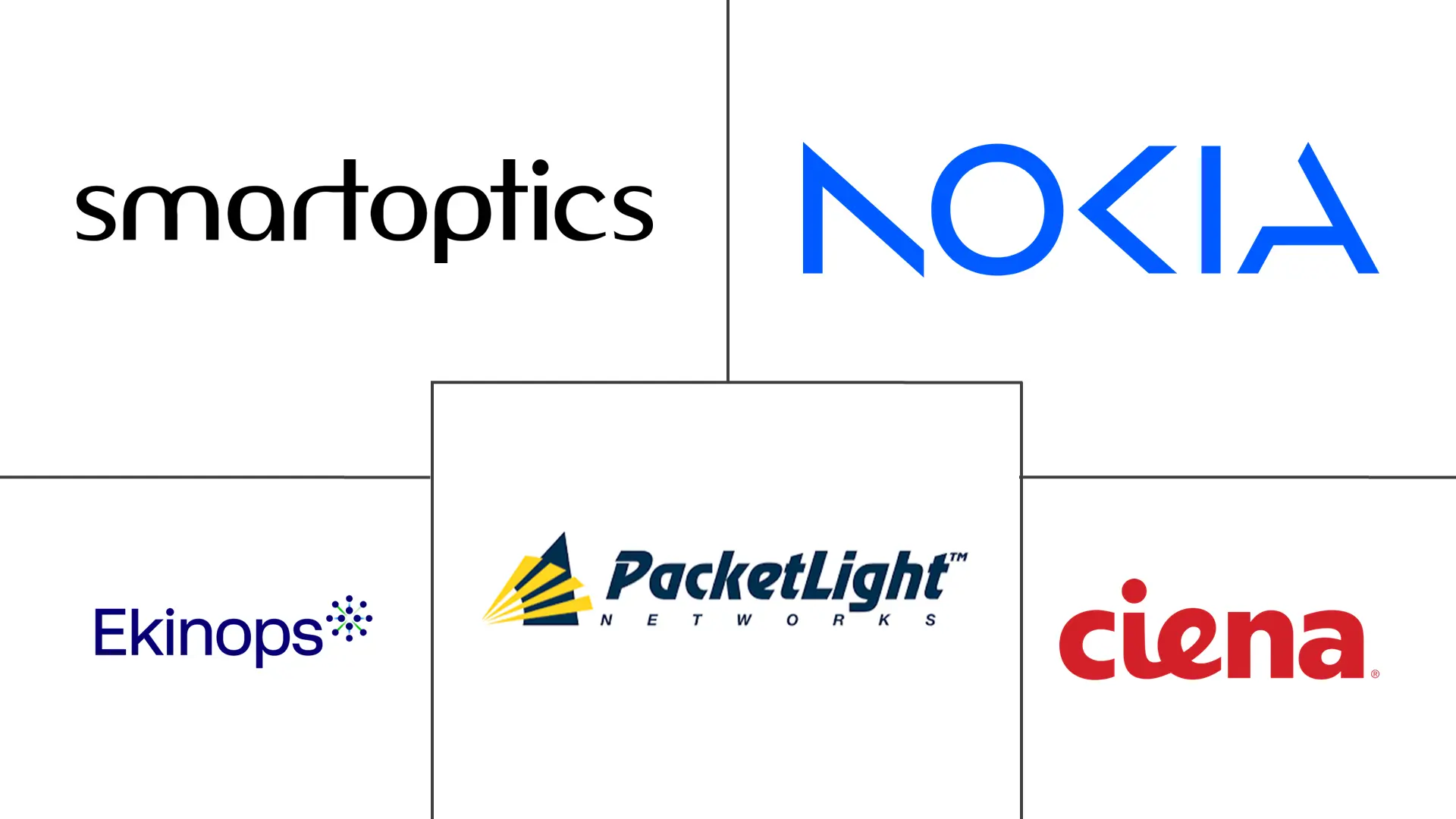 Major players in North America Metro Dense Wave Division Multiplexing (DWDM) industry
