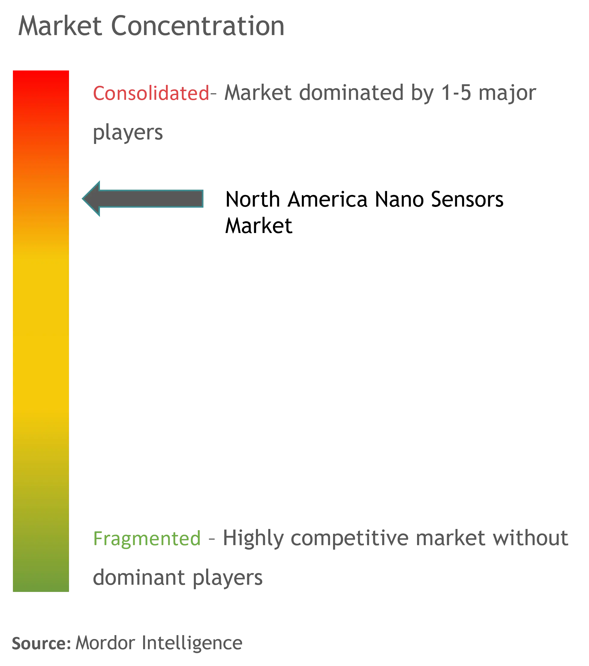 NA Nano Sensors Market Concentration