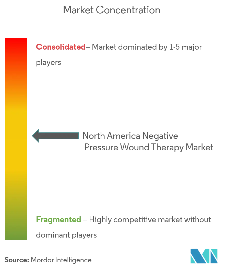 North America Negative Pressure Wound Therapy Market.png