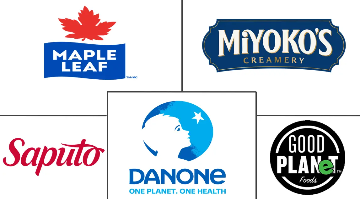 Major players in North America Non-dairy Cheese industry