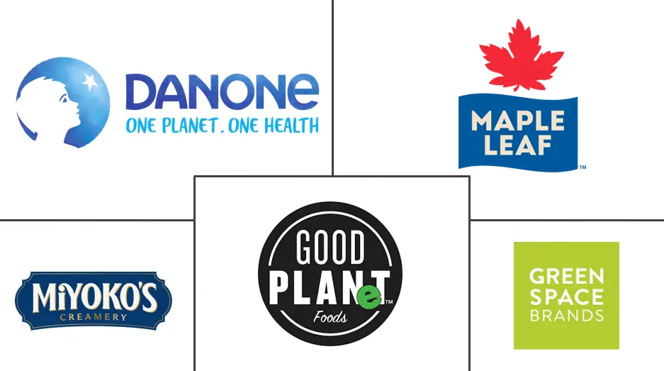 Major players in North America Non-dairy Cheese industry
