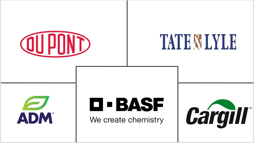 Major players in North America Organic Acid industry