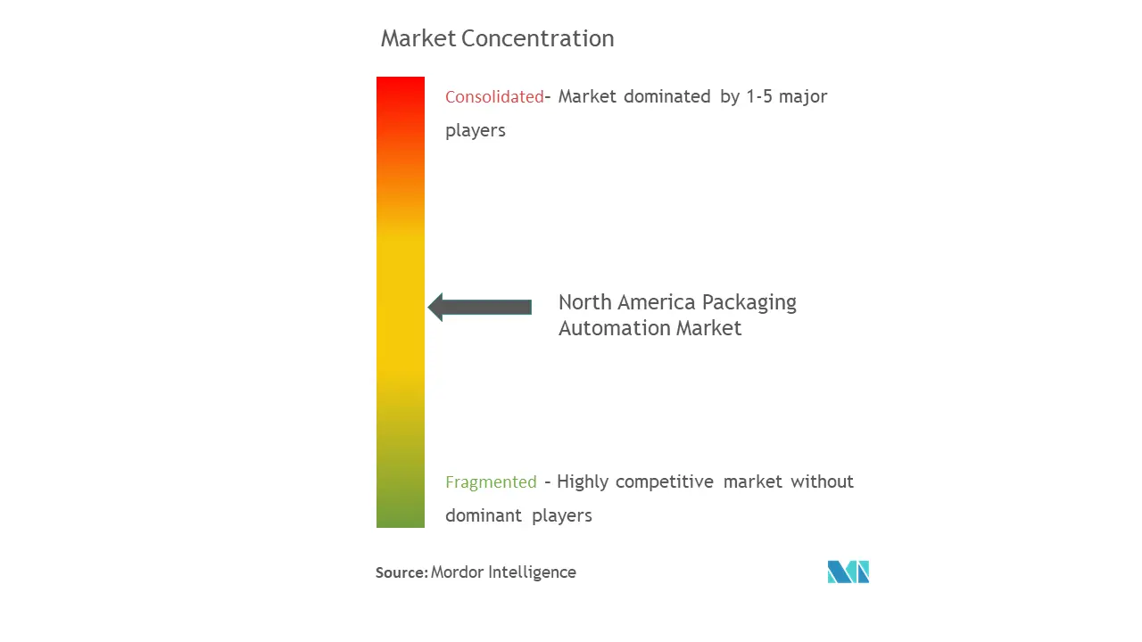 NA VerpackungsautomatisierungMarktkonzentration