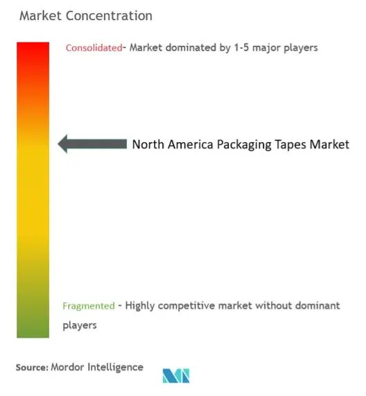 North America Packaging Tapes Market Concentration