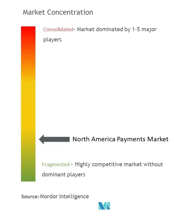 North America Payments Market.jpg