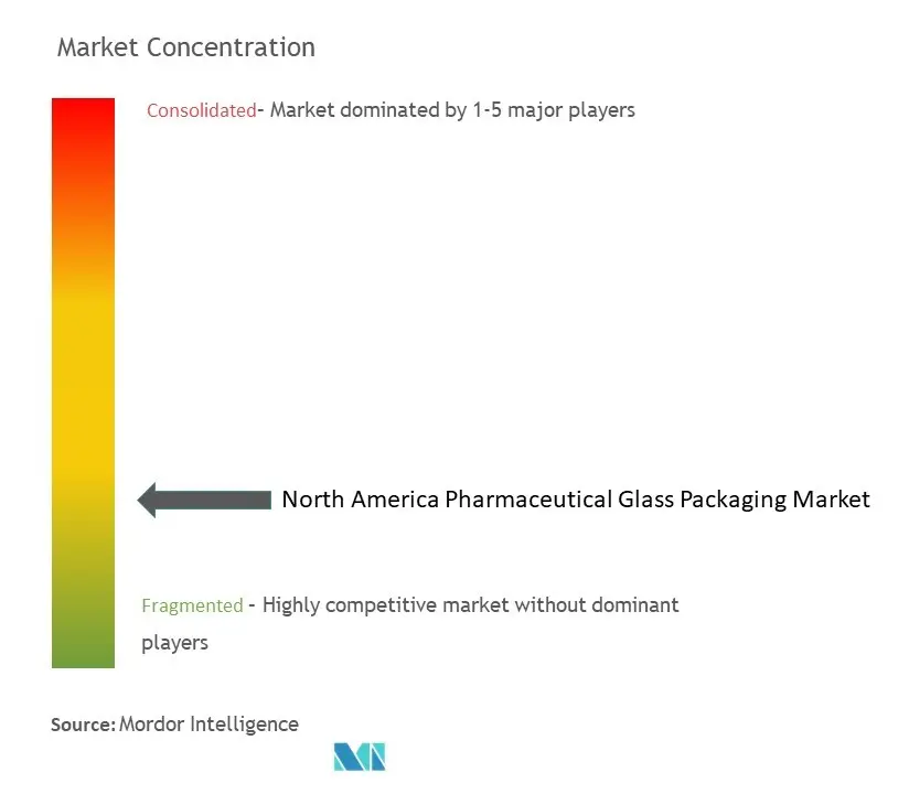 North America Pharmaceutical Glass Packaging Market Concentration