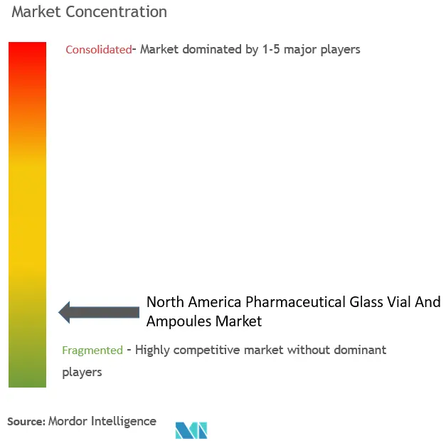 North America Pharmaceutical Glass Vials And Ampoules Market Concentration