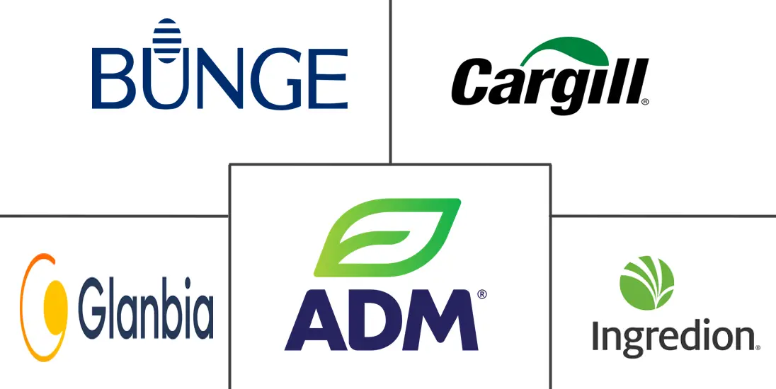 Major players in North America Plant Protein Ingredients industry