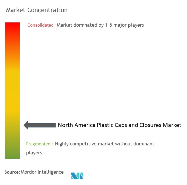North America Plastic Caps and Closure Market: Market Concentration