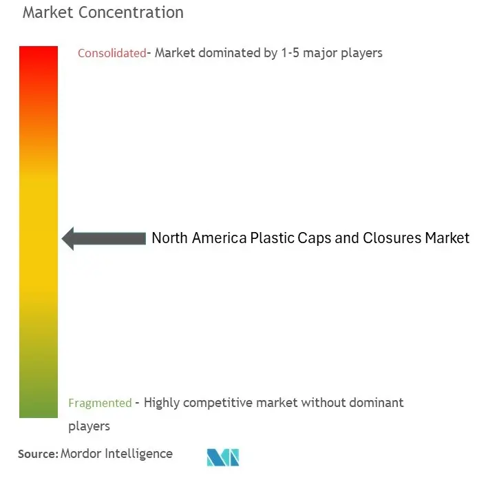 North America Plastic Caps and Closures Market Concentration