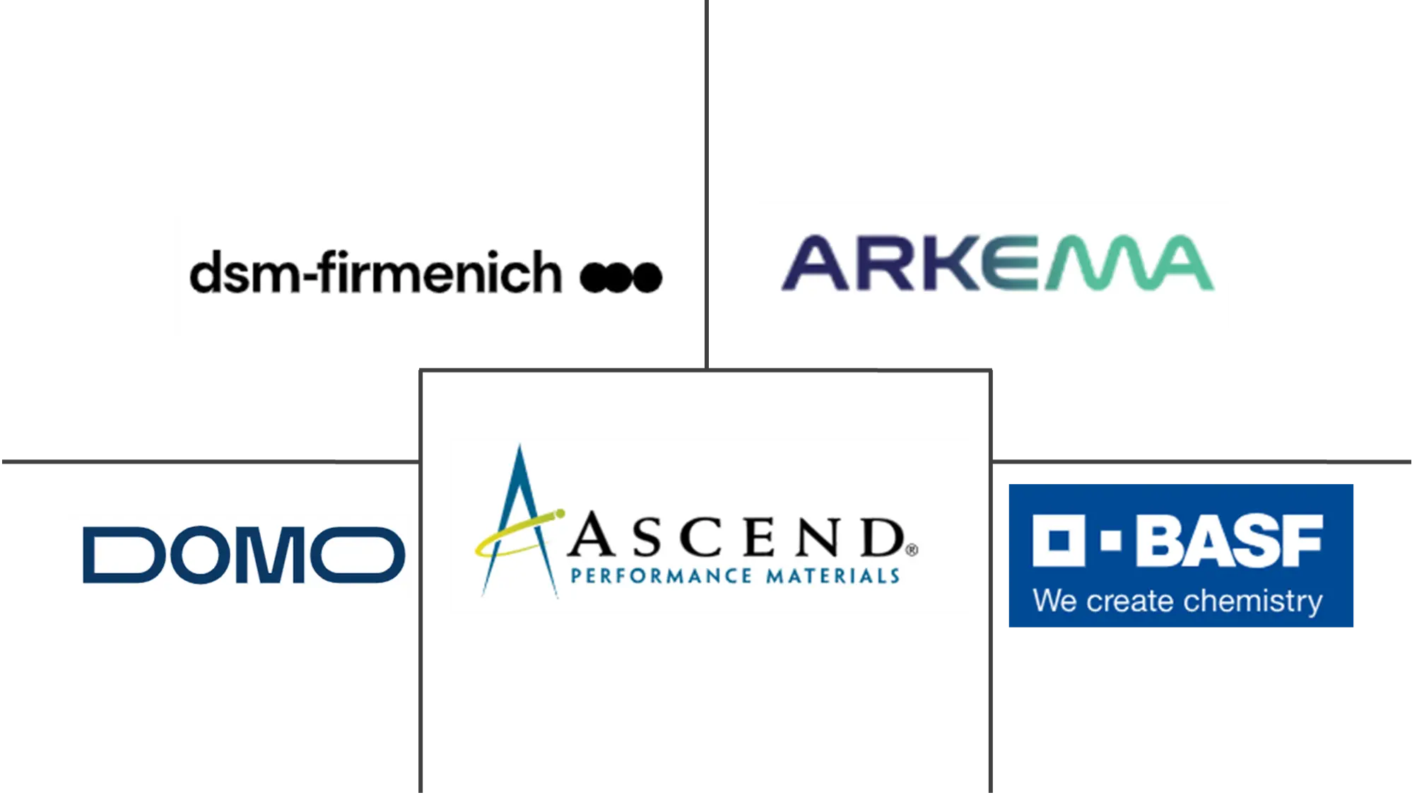 Major players in North America Polyamide industry