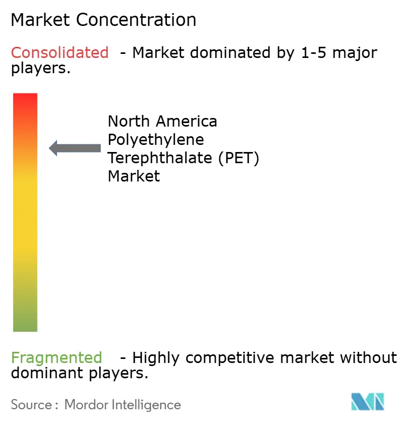 North America Polyethylene Terephthalate (PET) Market - Market Concentration
