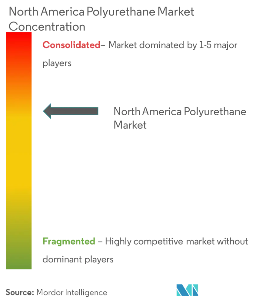 North America Polyurethane Market Concentration