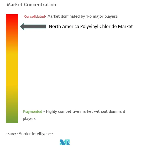 Cloruro de polivinilo (PVC) de América del NorteConcentración del Mercado