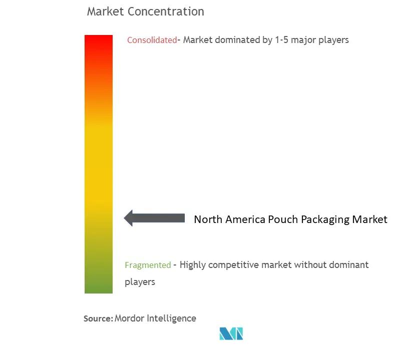 North America Pouch Packaging Market Concentration