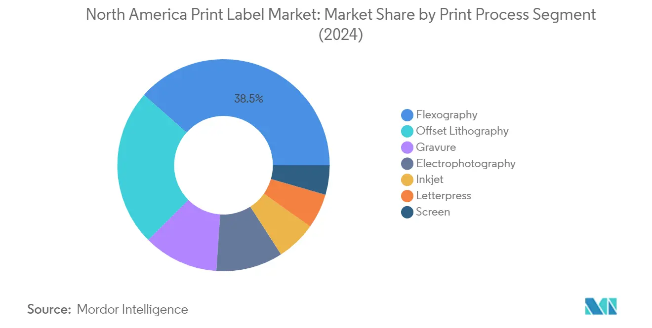 Market Analysis of North America Print Label Market: Chart for By Print Process