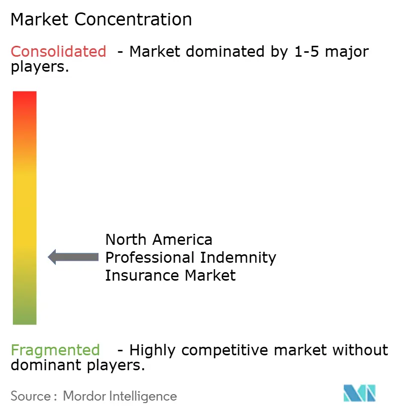 North America Professional Indemnity Insurance Market Concentration