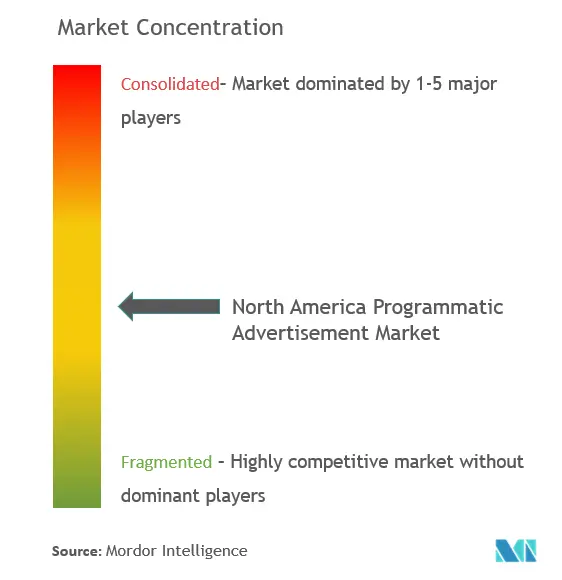 North America Programmatic Advertisement Market Concentration