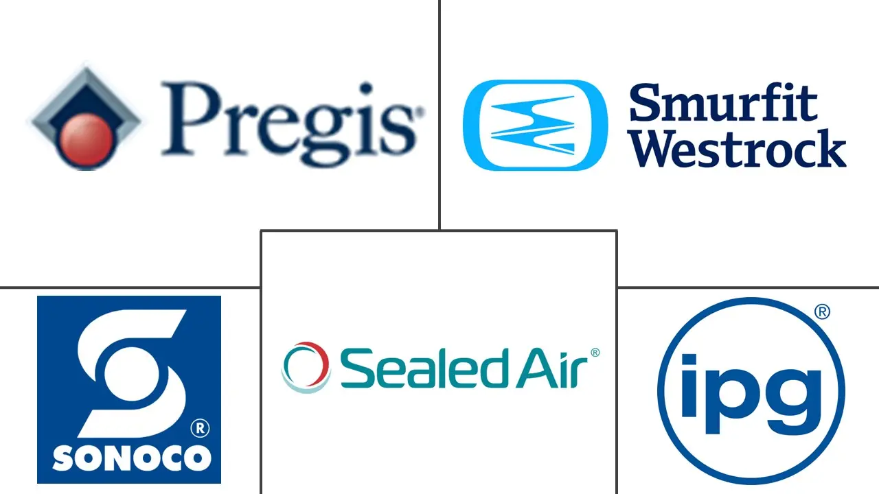 Major players in North America Protective Packaging industry