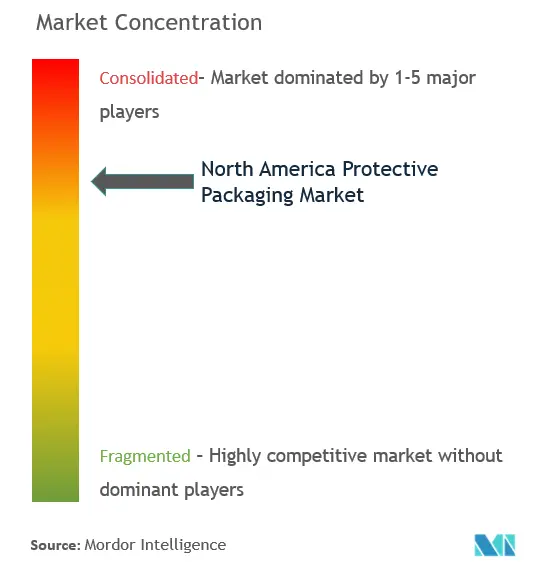 North America Protective Packaging Market Concentration