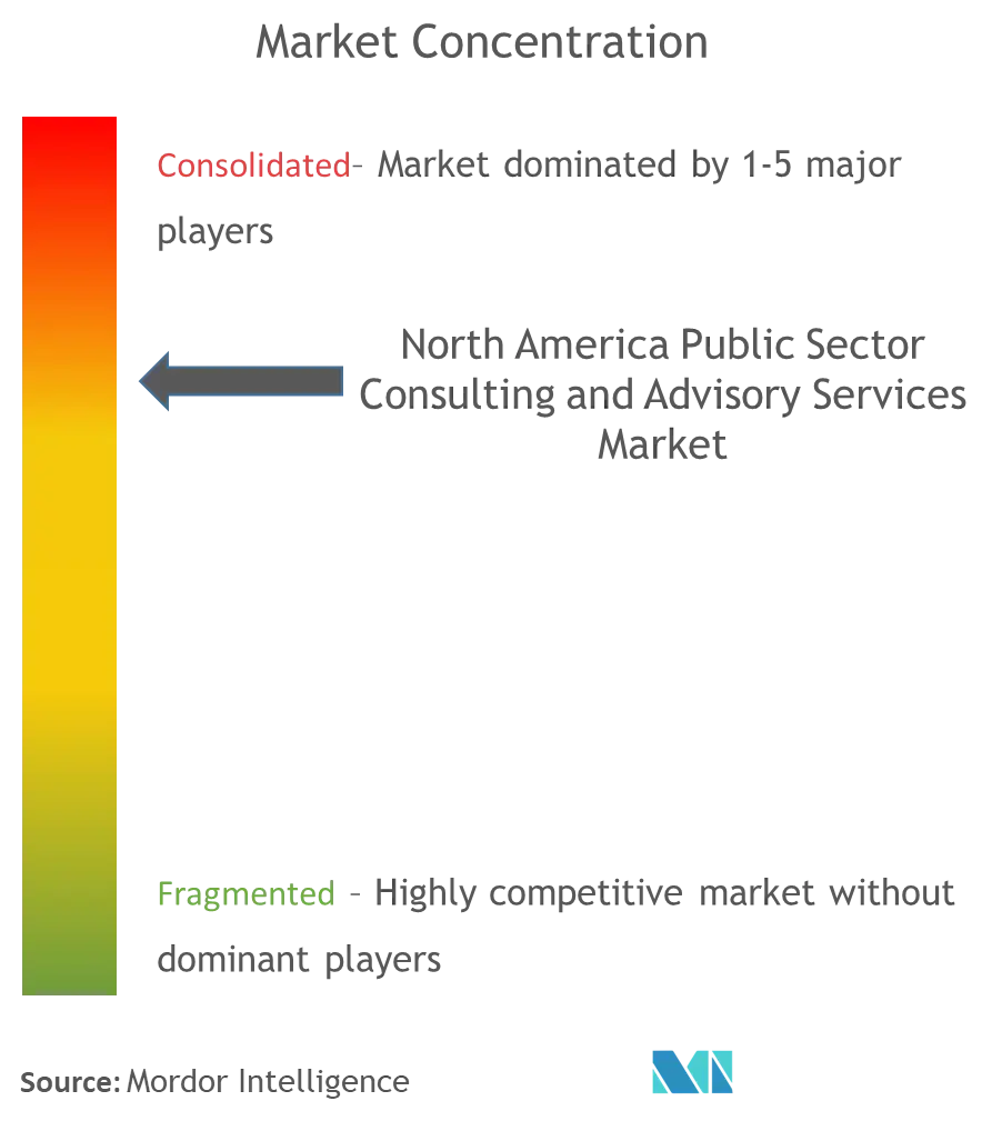 North America Public Sector Consulting And Advisory Services Market Concentration