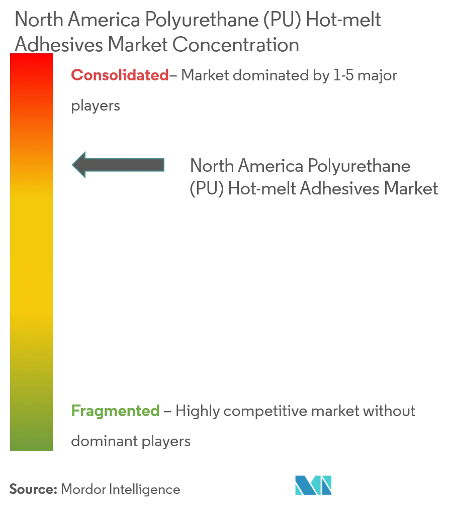 North America Polyurethane (PU) Hot-melt Adhesive Market - Market Concentration.png