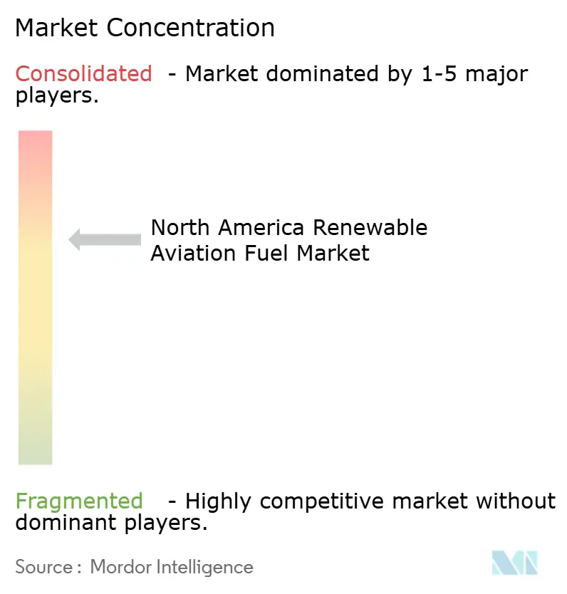 North America Renewable Aviation Fuel Market Concentration