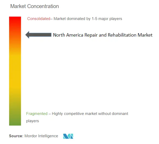 North America Repair and Rehabilitation Market Concentration