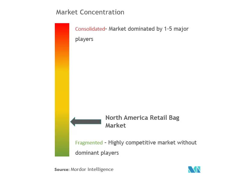 North America Retail Bags Market Concentration
