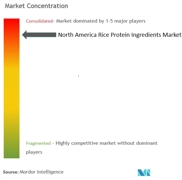 Концентрация рынка ингредиентов рисового белка в Северной Америке