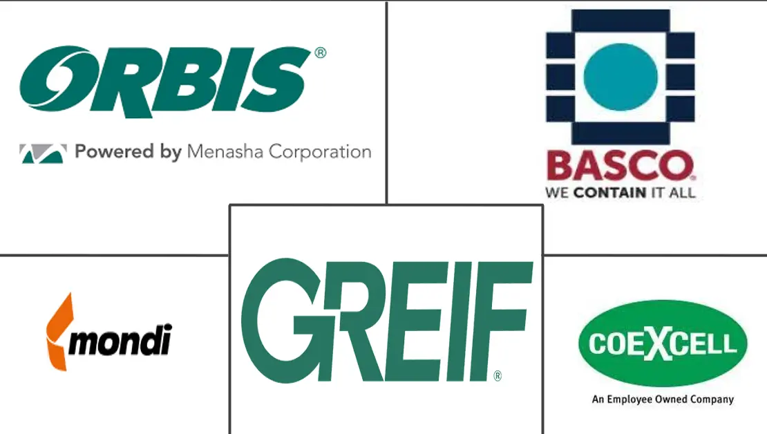 North America Rigid Bulk Packaging Market Key Players Principais participantes em Mercado de Embalagens Rígidas a Granel da América do Norte indústria