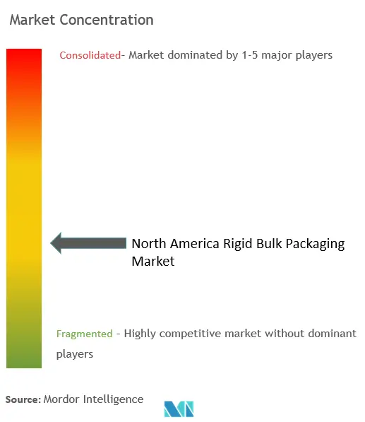 North America Rigid Bulk Packaging Market Concentration
