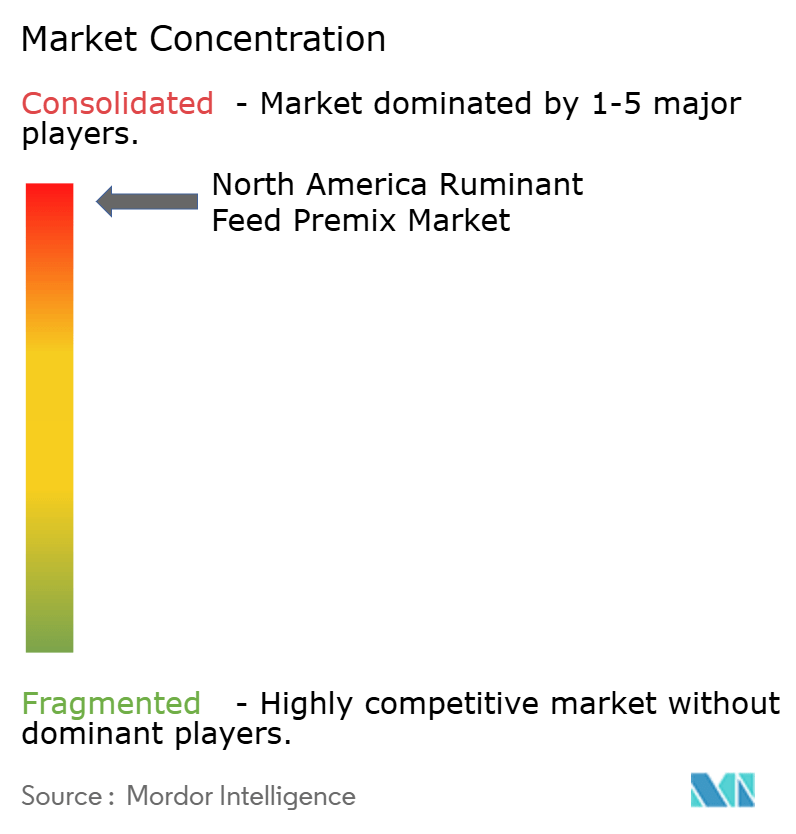 North America Ruminant Feed Premix Market Concentration