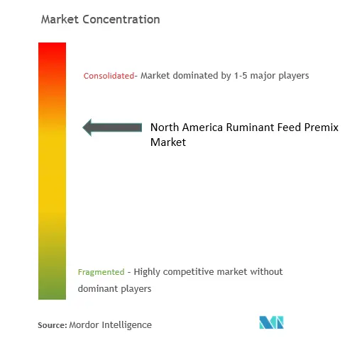 North America Ruminant Feed Premix Market Concentration