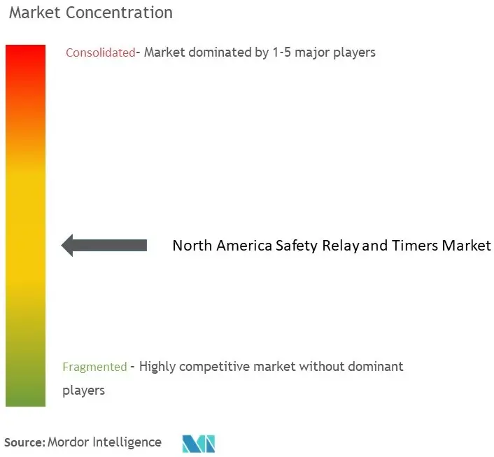 North America Safety Relay and Timers Market Concentration