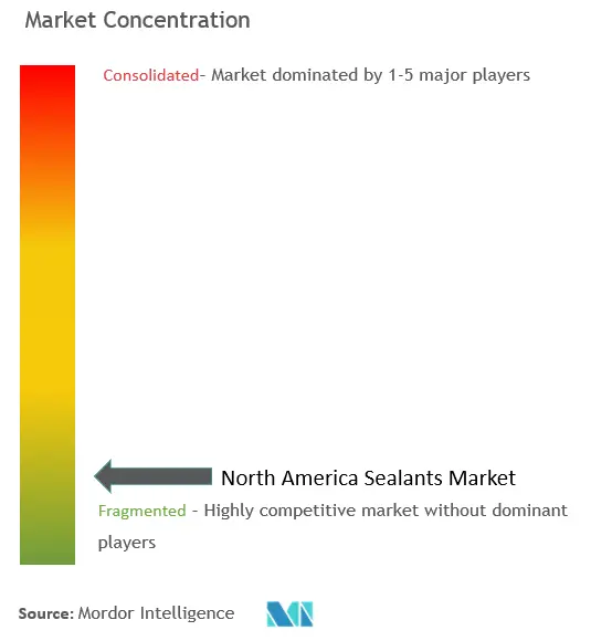 North America Sealants Market-Market Concentration.png