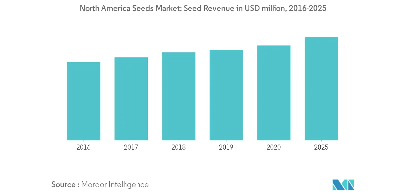 North America Seeds Market