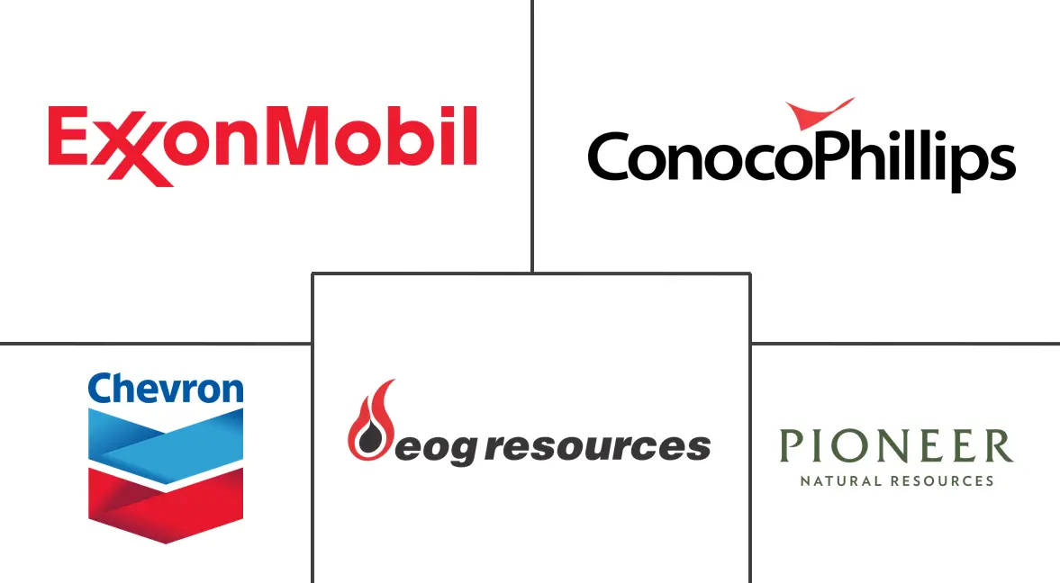 Major players in North America Shale Gas industry