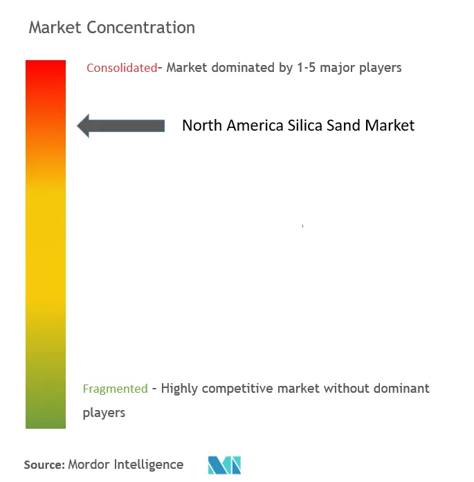 北米珪砂市場市場集中度