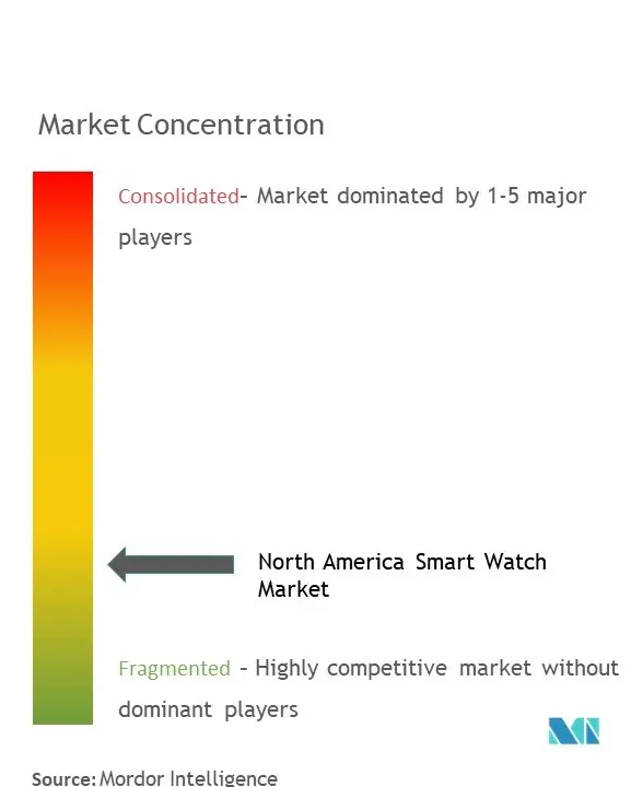 North America Smart Watch Market Concentration