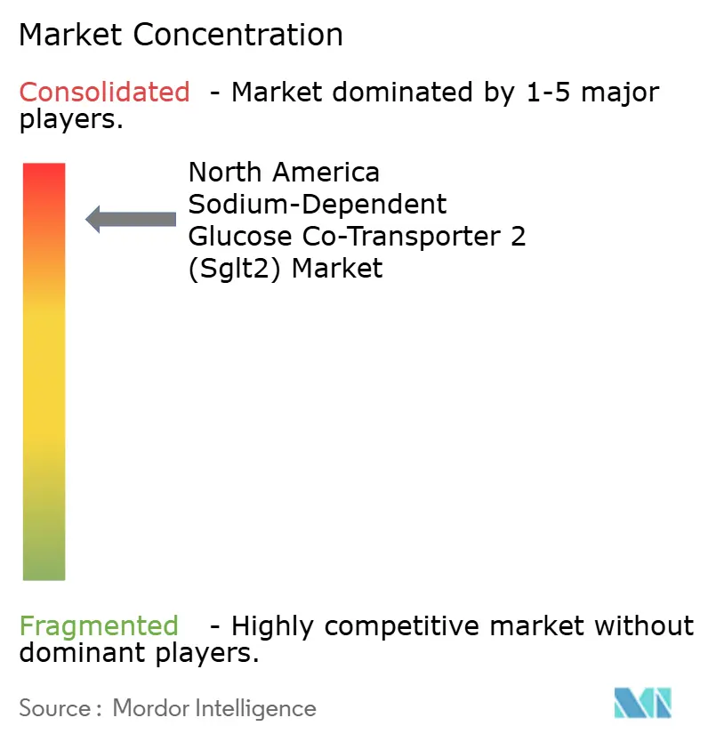 North America Sodium-Dependent Glucose Co-Transporter 2 (Sglt2) Market Concentration