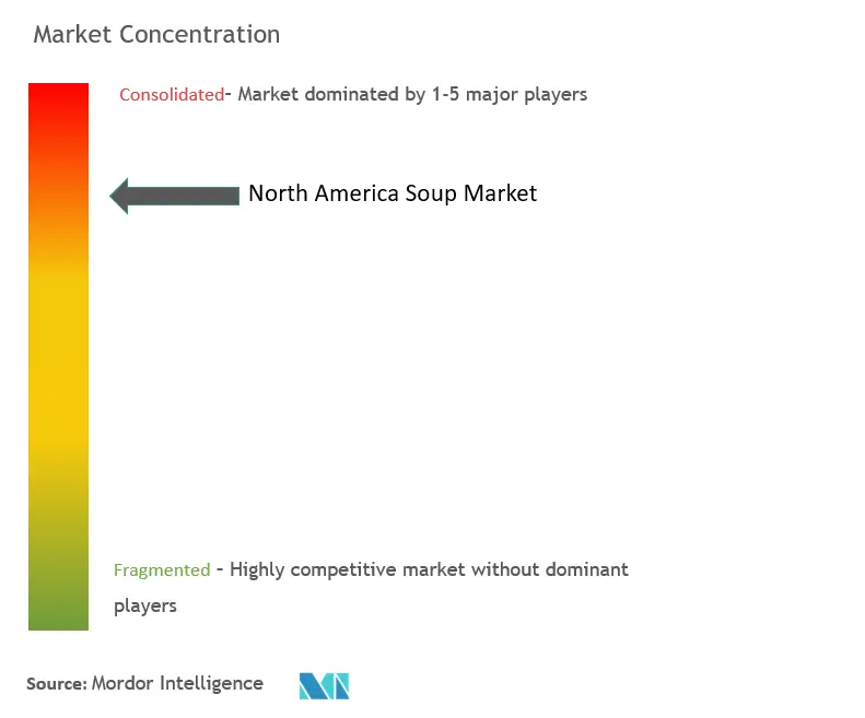 North America Soup Market Concentration